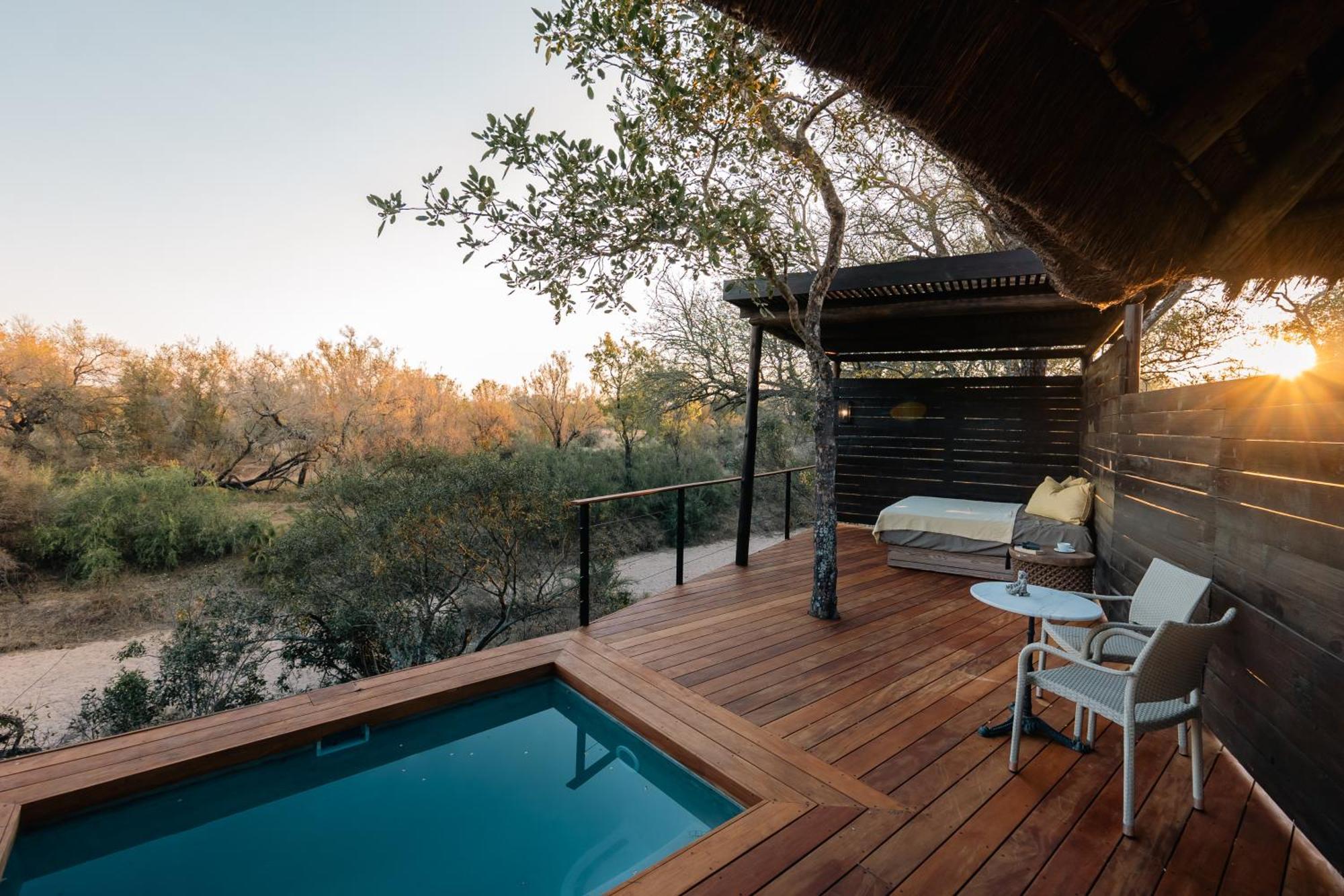 Thornybush Simbambili Lodge Sabi Sand Game Reserve Buitenkant foto