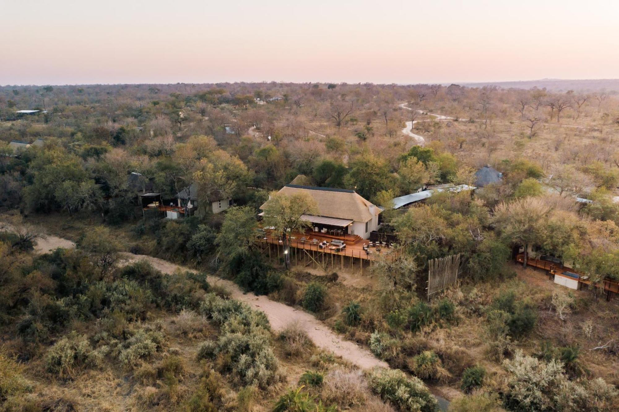Thornybush Simbambili Lodge Sabi Sand Game Reserve Buitenkant foto