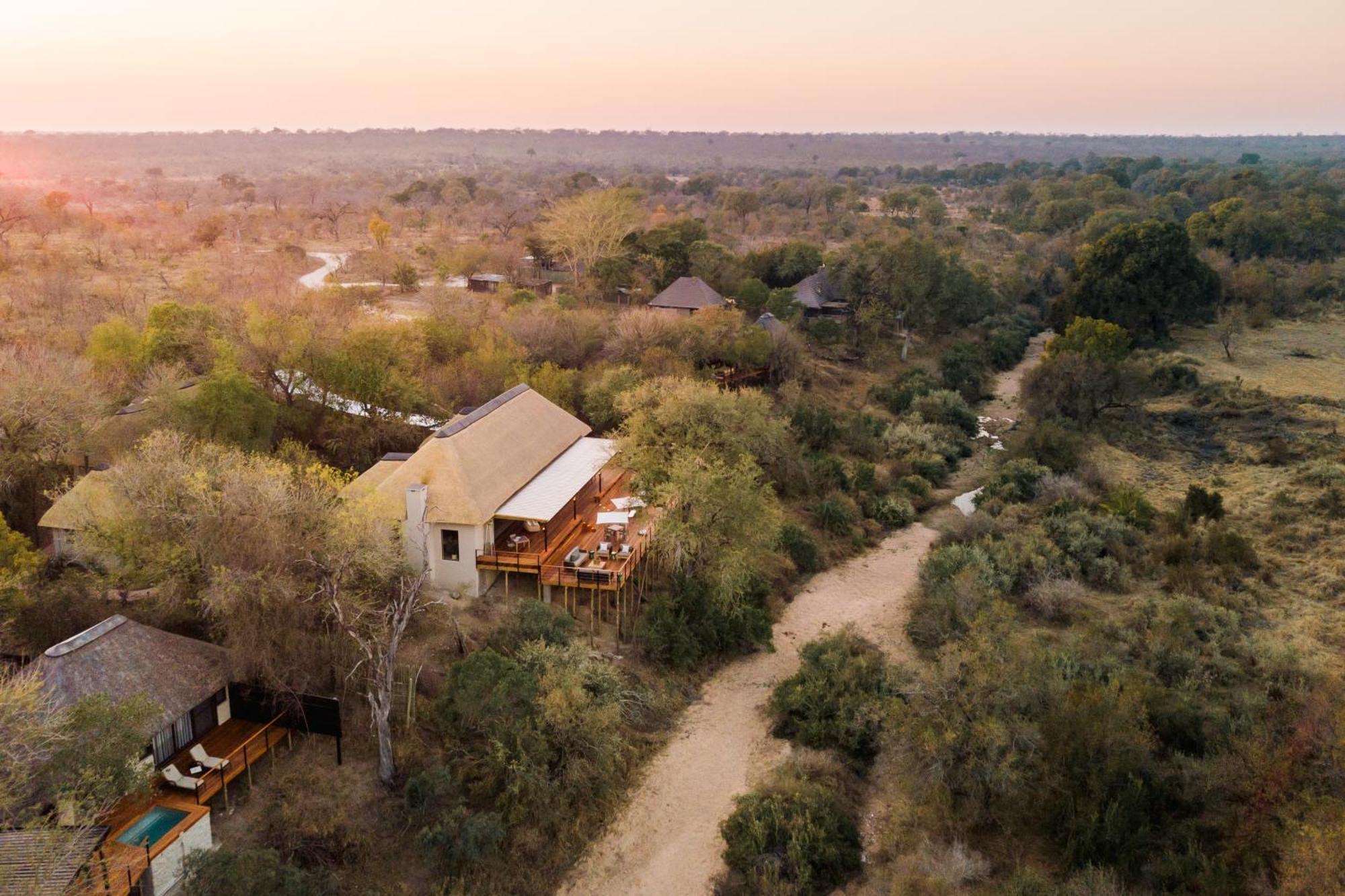 Thornybush Simbambili Lodge Sabi Sand Game Reserve Buitenkant foto