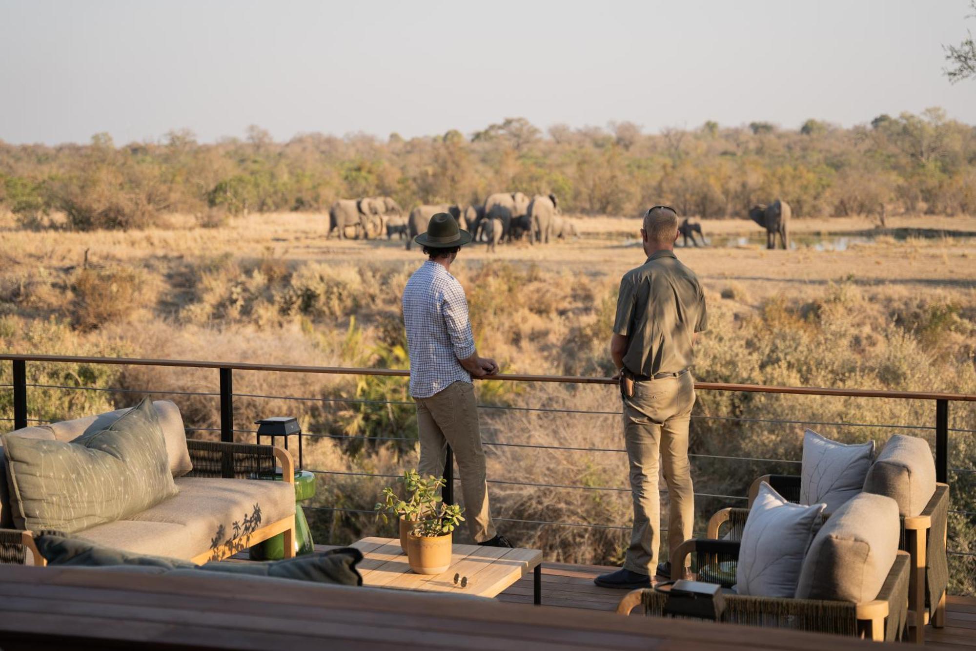 Thornybush Simbambili Lodge Sabi Sand Game Reserve Buitenkant foto