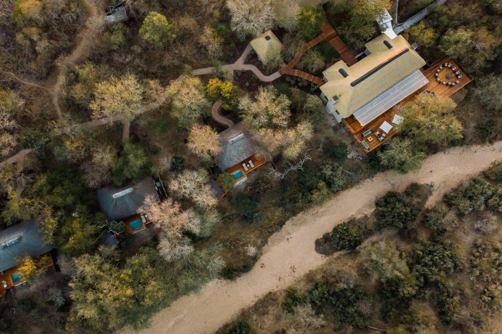 Thornybush Simbambili Lodge Sabi Sand Game Reserve Buitenkant foto